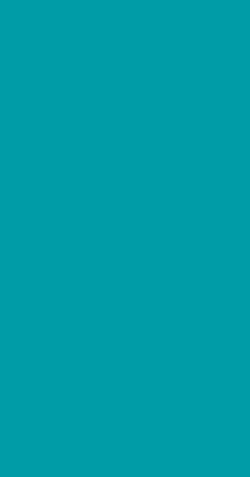 Rectangle 367